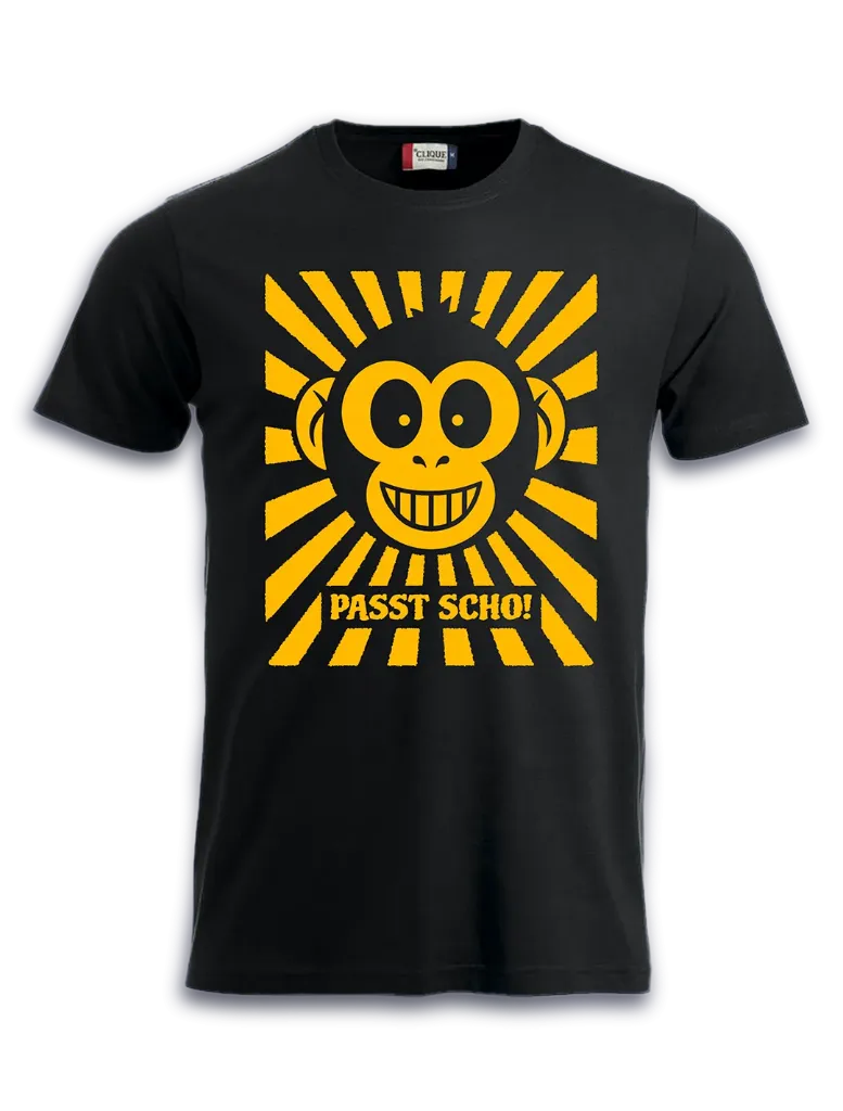passt scho M-S / Streetwear Herren T-Shirt (S)